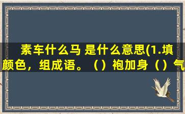 素车什么马 是什么意思(1.填颜色，组成语。（）袍加身（）气东来素车（）马)